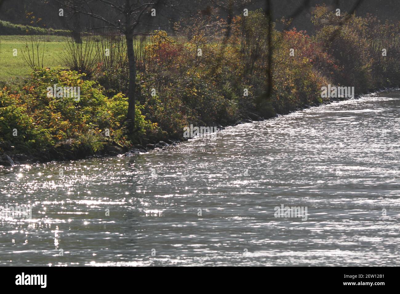 La mia passeggiata in Germania Stoccarda Bärensee meraviglioso paesaggio per Libro Design Calendario Design sfondo con meraviglioso lago mistico acqua mistica Foto Stock