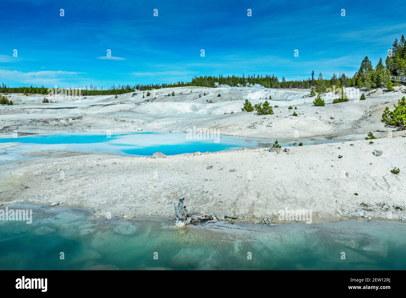 Il Midway Geyser Basin, una delle colorate sorgenti termali di Yellowstone Foto Stock