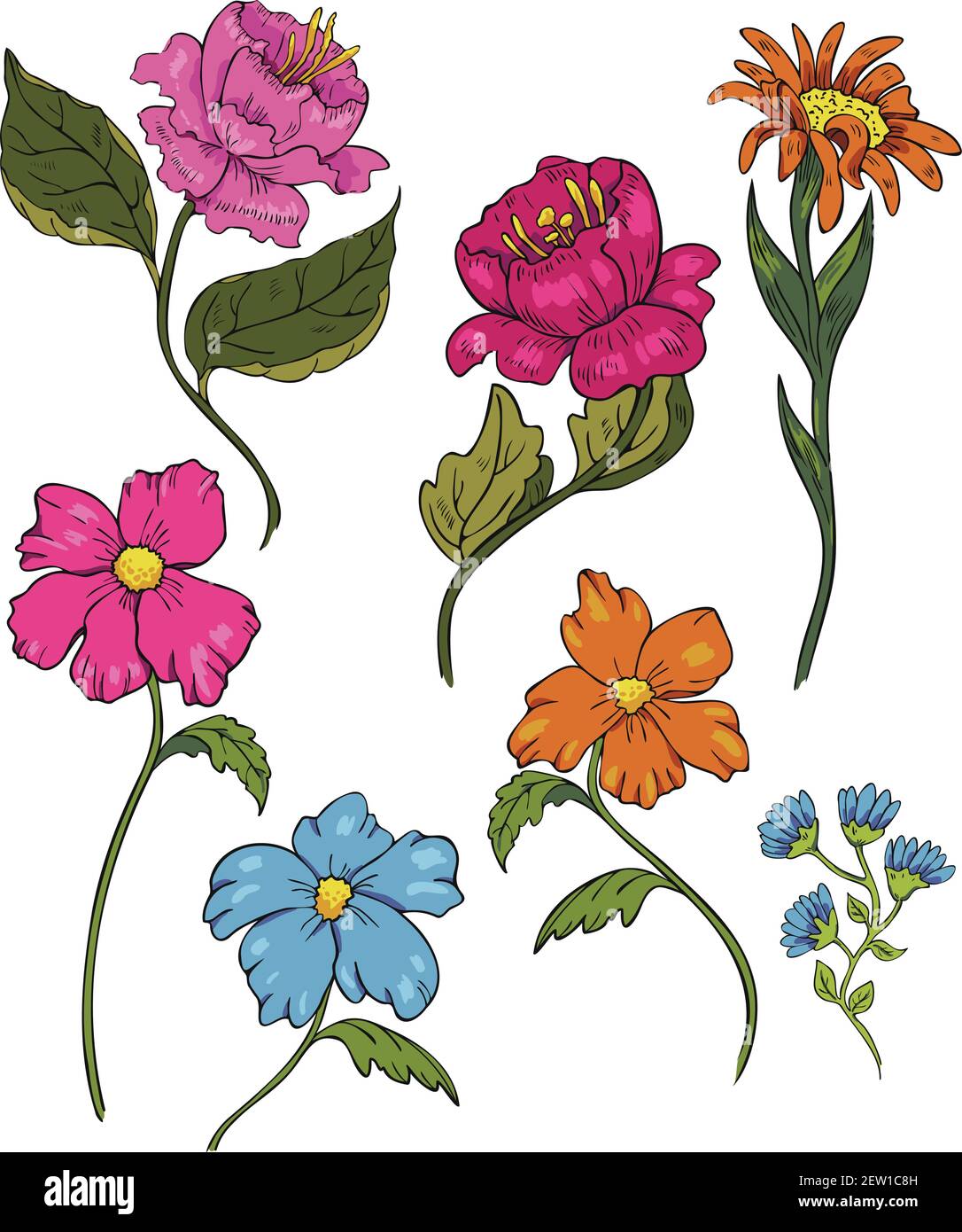 Insieme di illustrazioni vettoriali di fiori colorati in fiore. Collezione di fiori astratti. Illustrazione Vettoriale