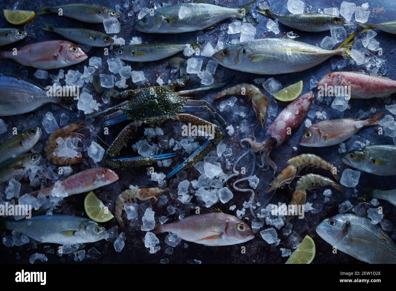 Vista dall'alto del pesce assortito non pescato con crostacei e agrumi fette di frutta tra cubetti di ghiaccio Foto Stock