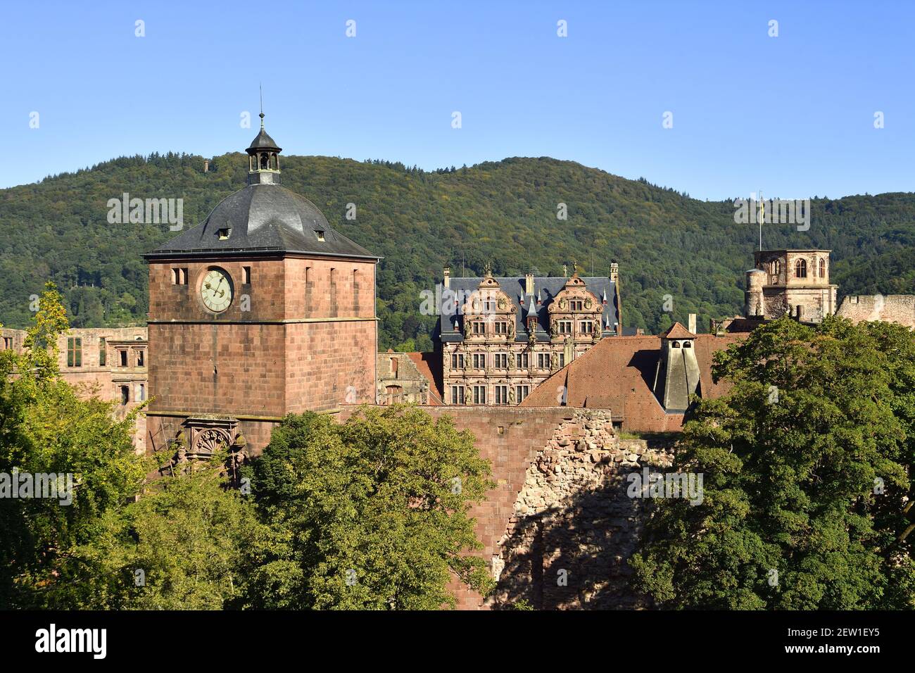Germania, Baden Württemberg, Castello di Heidelberg Foto Stock