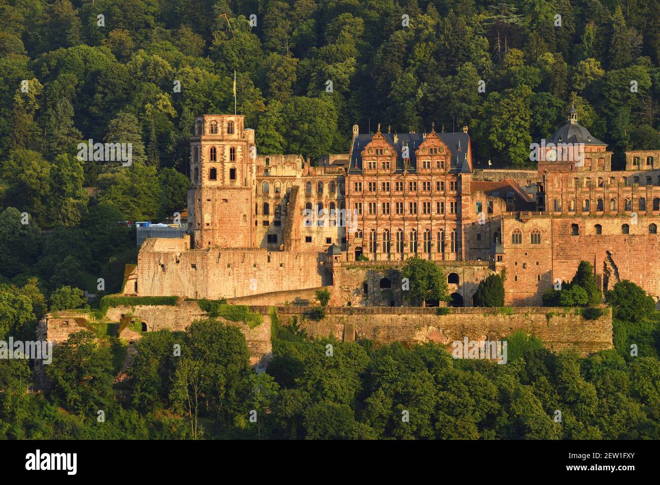 Germania, Baden Wurttemberg, Heidelberg, il castello Foto Stock