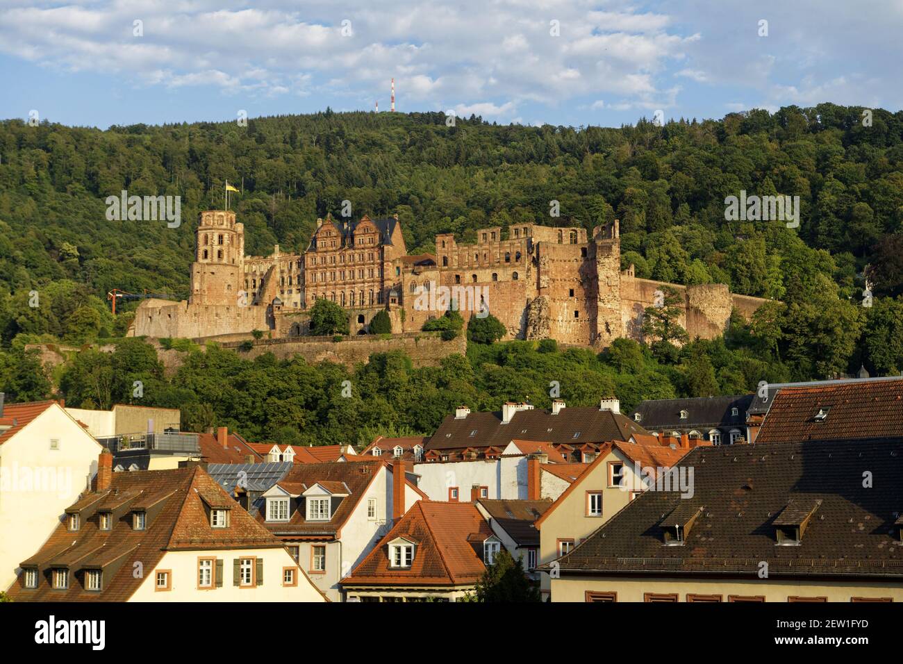 Germania, Baden Wurttemberg, Heidelberg, la città e il castello Foto Stock