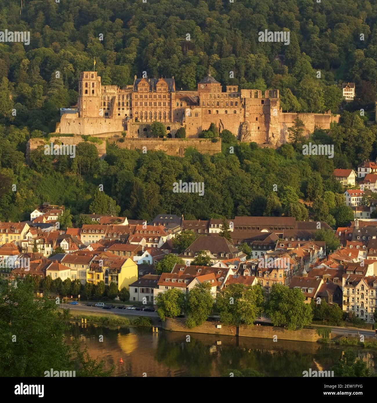 Germania, Baden Wurttemberg, Heidelberg, la città, il castello dalla riva destra del Neckar Foto Stock