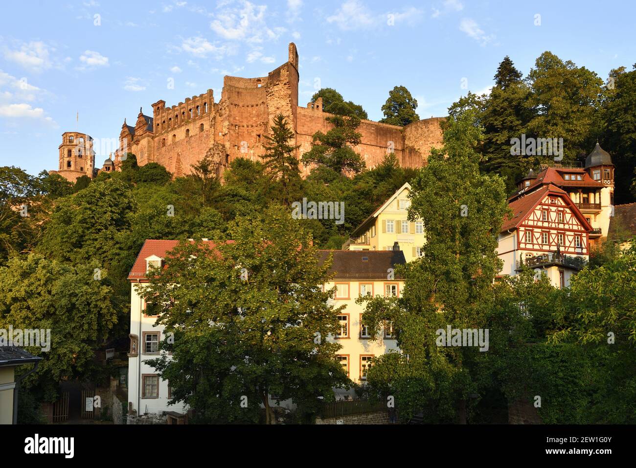 Germania, Baden Wurttemberg, Heidelberg, la città, con il castello Foto Stock