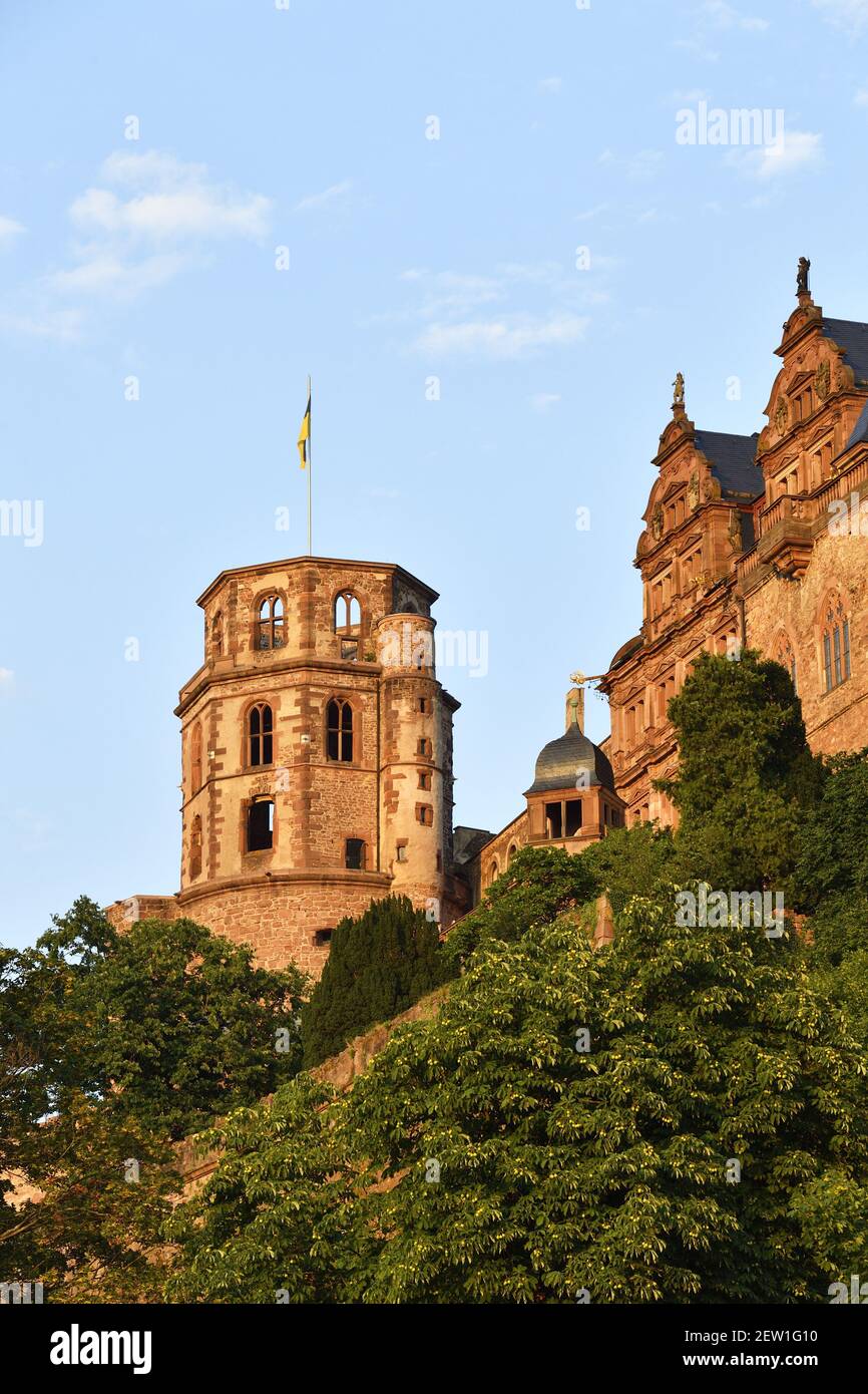Germania, Baden Wurttemberg, Heidelberg, il castello Foto Stock