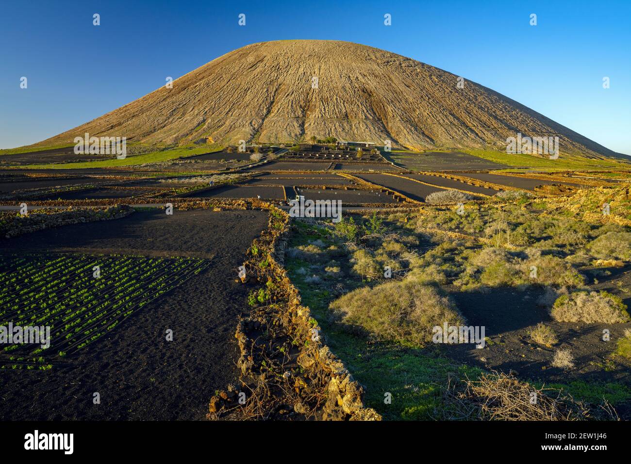 Spagna, Isole Canarie, Isola di Lanzarote, il Montana de tinache vulcani con i suoi vigneti Foto Stock