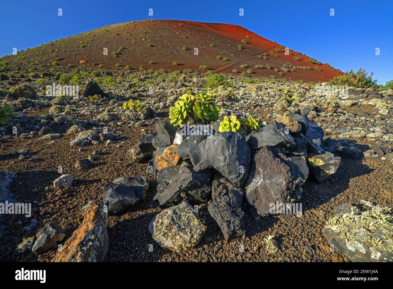Spagna, Isole Canarie, Isola di Lanzarote, Tinajo, la montagna colorata Foto Stock
