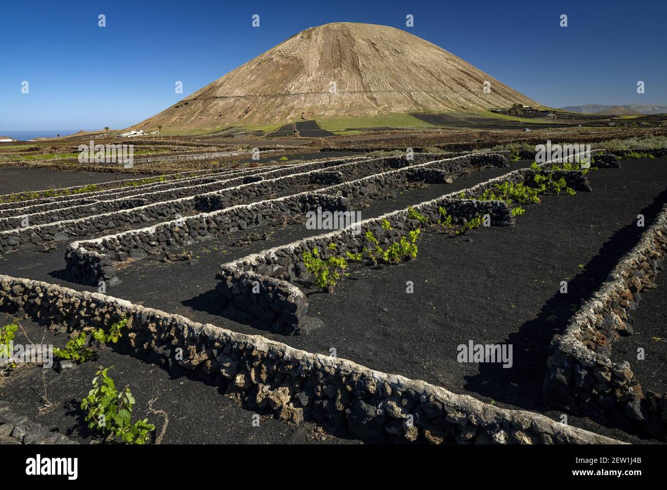 Spagna, Isole Canarie, Isola di Lanzarote, il Montana de tinache vulcani con i suoi vigneti Foto Stock