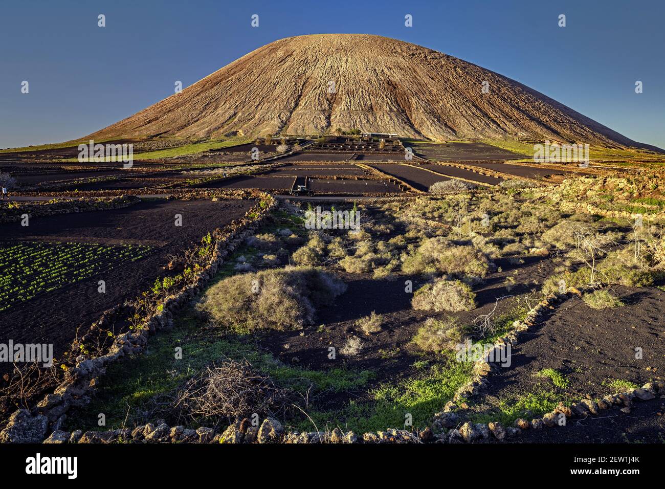 Spagna, Isole Canarie, Isola di Lanzarote, il Montana de tinache vulcani con i suoi vigneti Foto Stock
