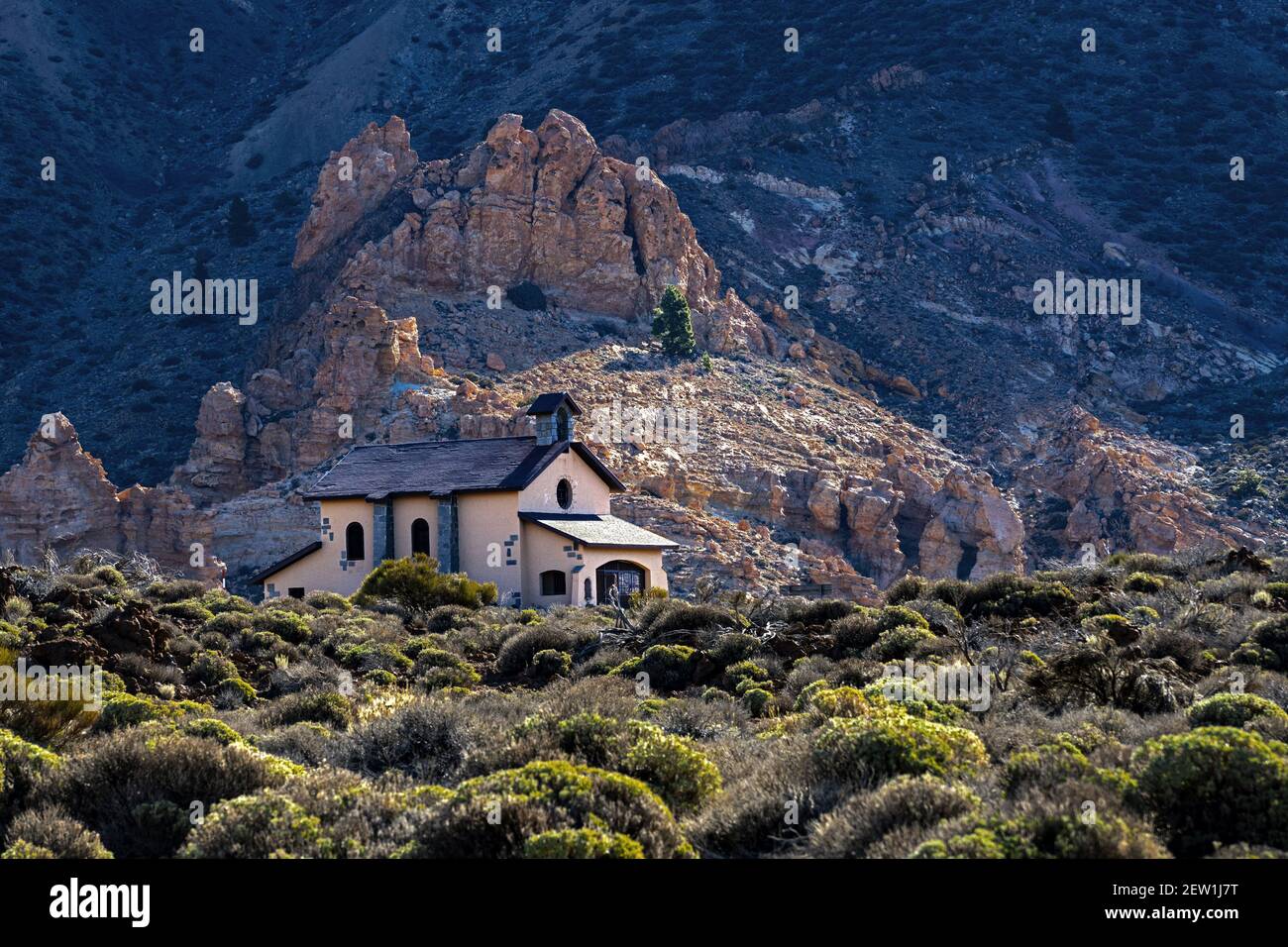 Spagna, Isole Canarie, isola di Tenerife, Parco Nazionale del Teide Foto Stock