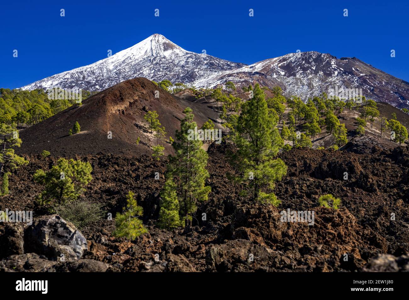 Spagna, Isole Canarie, isola di Tenerife, il Monte Teide è alto 12,198 metri Foto Stock