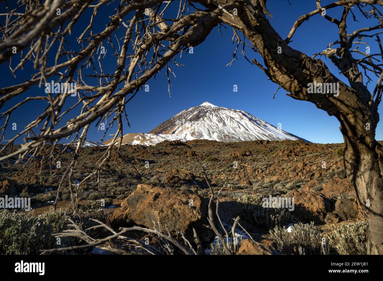 Spagna, Isole Canarie, isola di Tenerife, il Monte Teide è alto 12,198 metri Foto Stock