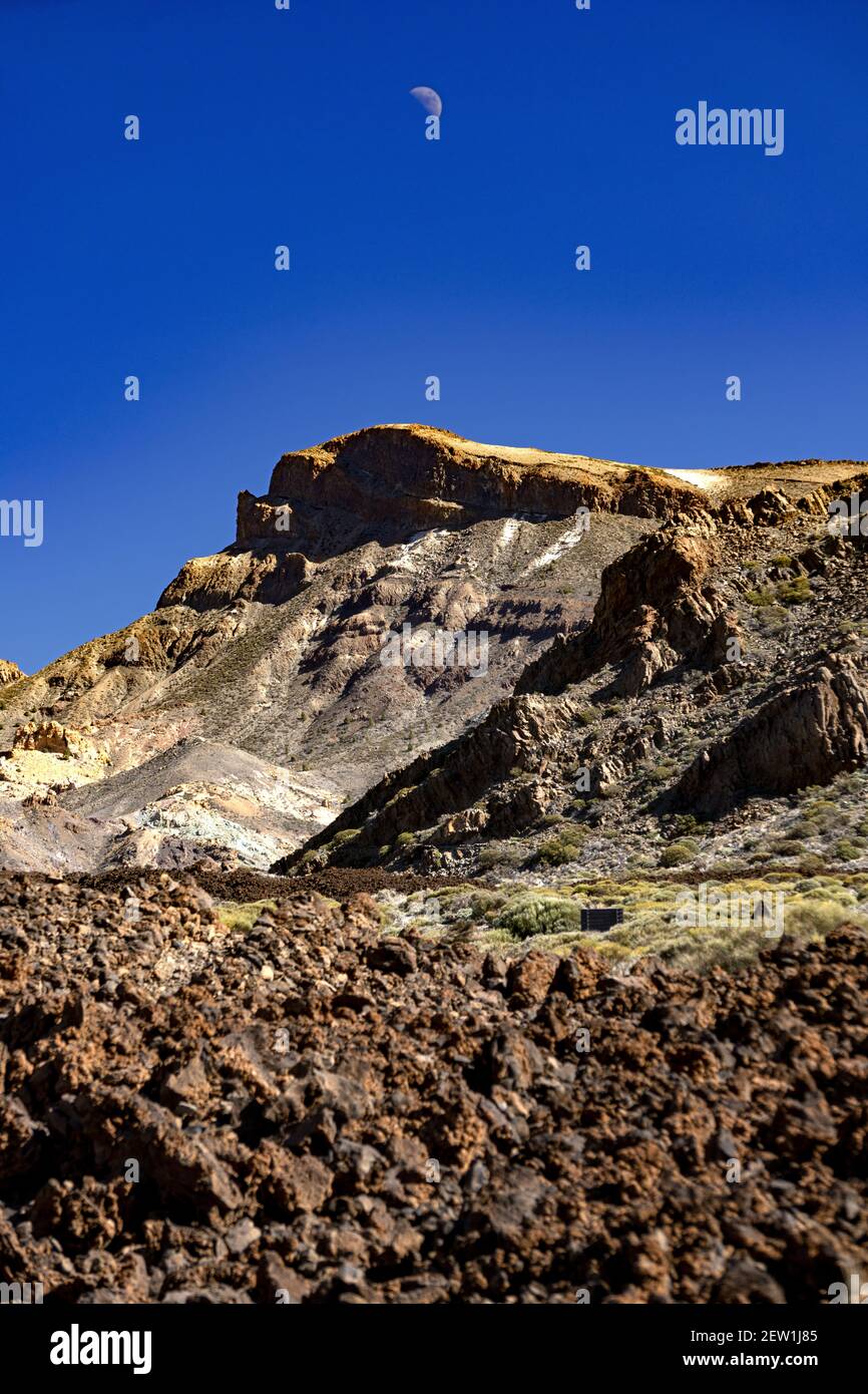 Spagna, Isole Canarie, isola di Tenerife, Parco Nazionale del Teide Foto Stock