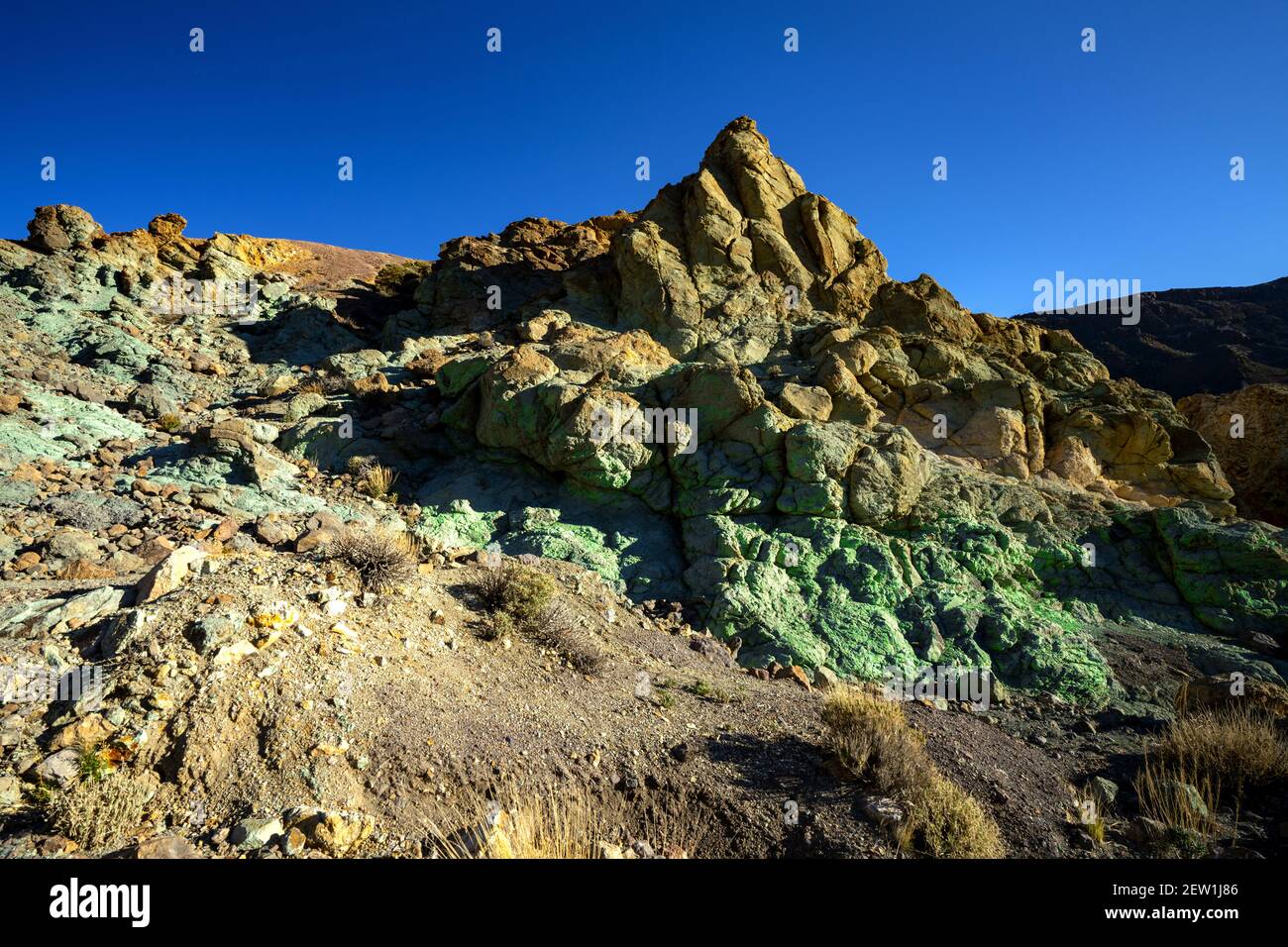 Spagna, Isole Canarie, isola di Tenerife, Parco Nazionale del Teide Foto Stock