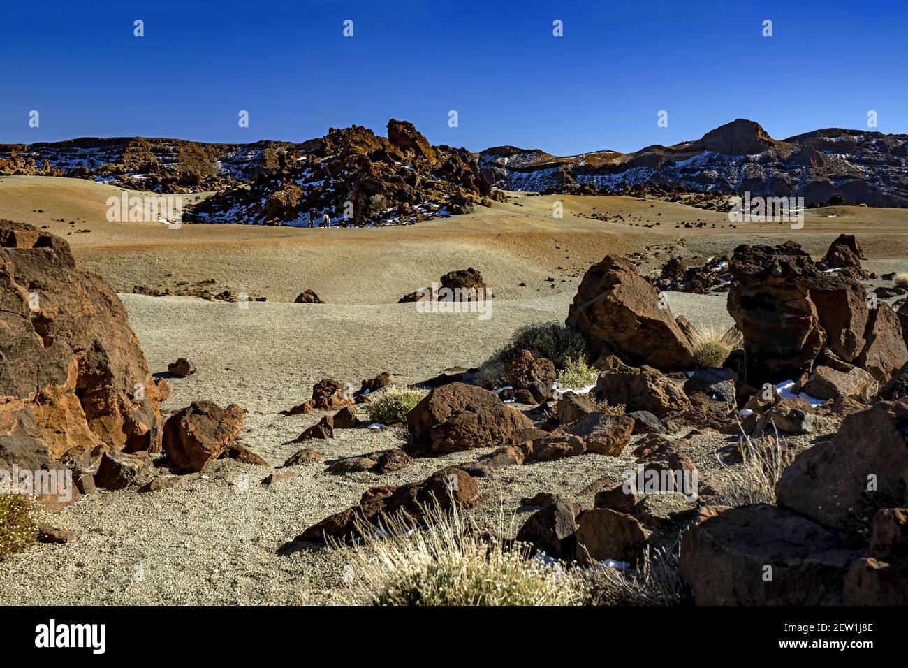Spagna, Isole Canarie, isola di Tenerife, Parco Nazionale del Teide Foto Stock