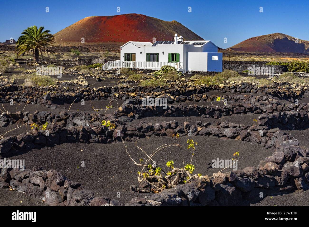 Spagna, Isole Canarie, Isola di Lanzarote, la regione vinicola di la Geria e il vulcano Montana Colorada Foto Stock
