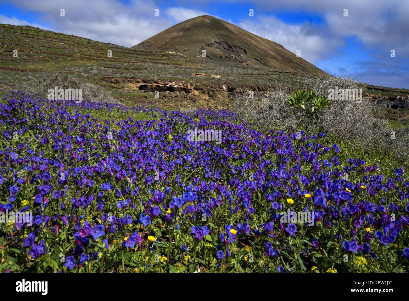 Spagna, Isole Canarie, Isola di Lanzarote, El Mojon, Guenia vulcani Foto Stock