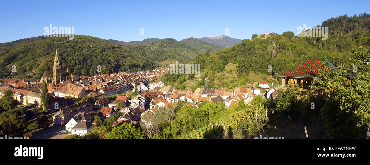 Francia, Alto Reno, la strada del vino Alsazia, Thann, Rangen Wine Trail, Grand Cru di Rangen vigneto che domina la città di Thann e la chiesa Collegiata di Saint-Thiebaut con le rovine del castello di Engelbourg (l'occhio della strega) sullo sfondo Foto Stock