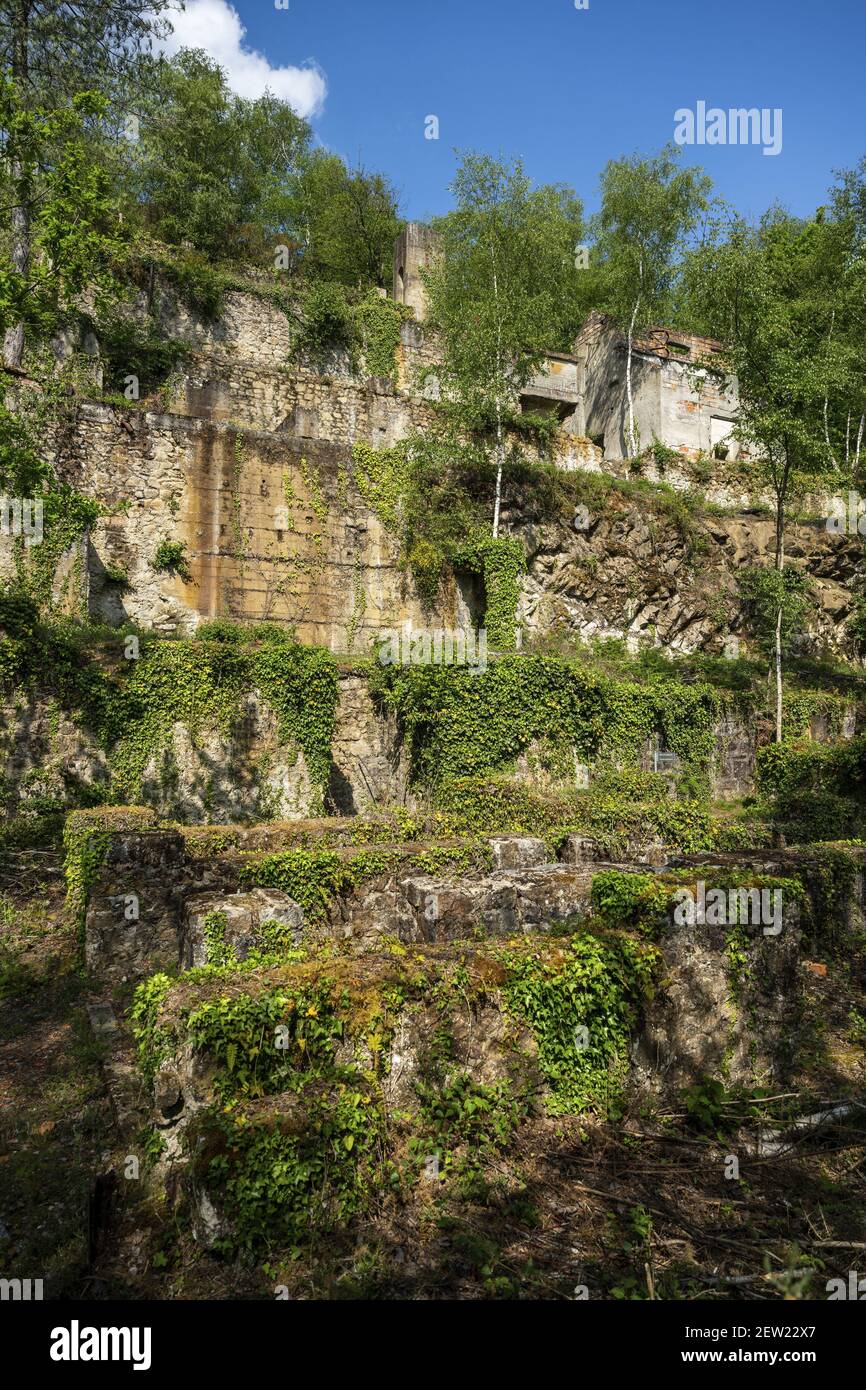 Francia, Ille-et-Vilaine, Vieux-Vy-sur-Couesnon, i resti delle miniere di cervo Foto Stock