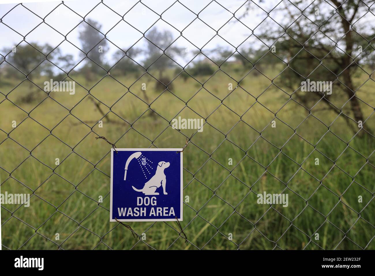Tanzania, unità canina di Ikoma dove si riuniscono i cani anti-bracconaggio del Parco Serengeti, i cani hanno la propria area doccia, che ogni settimana prendono sotto gli occhi vigili dei loro custodi Foto Stock