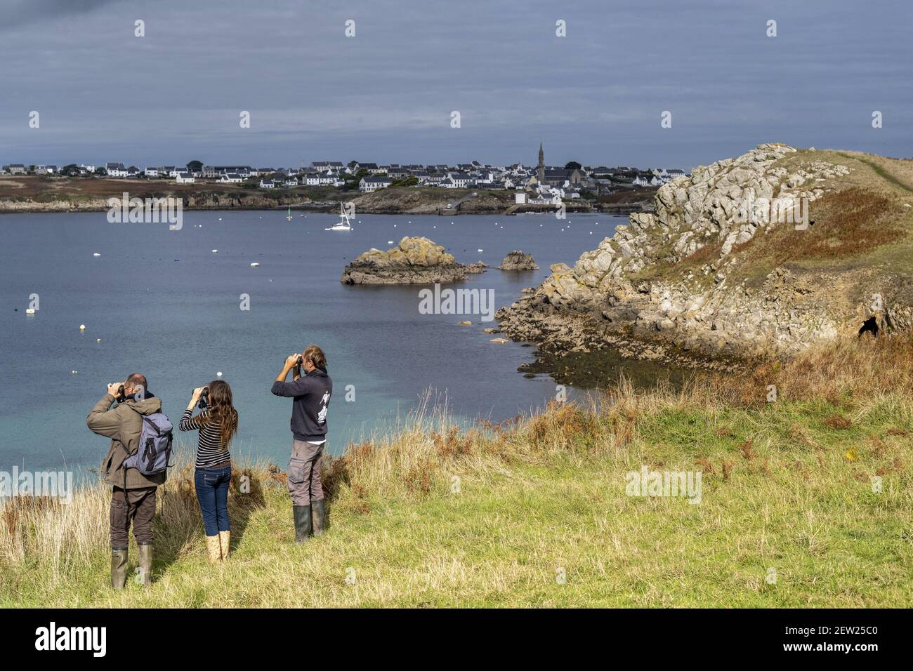 Francia, Finistere, Ouessant, ornitologi alla ricerca di uccelli rari sull'isola di Ouessant in autunno Foto Stock