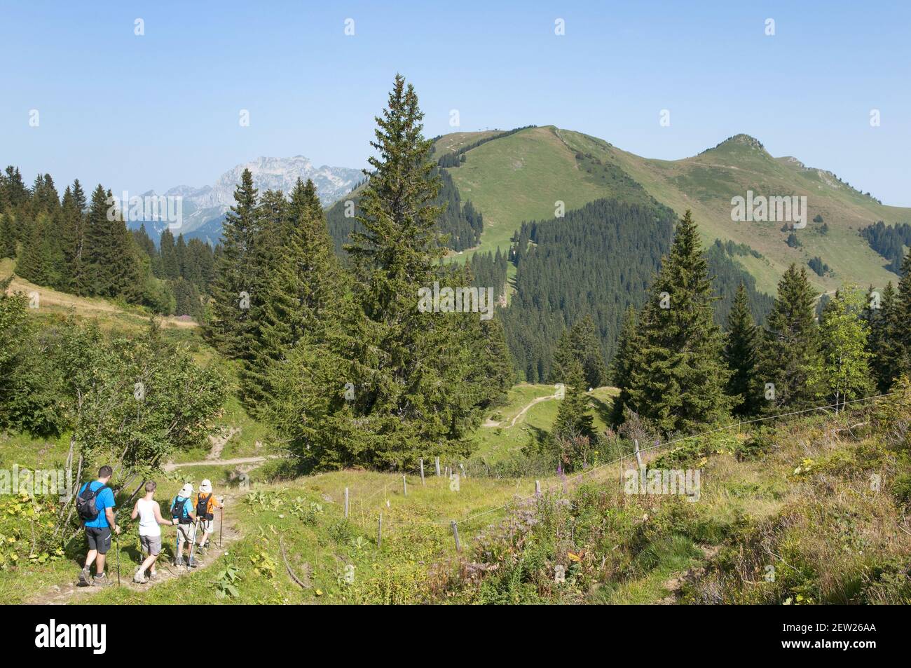 Svizzera, Canton Vallese, Morgins, escursioni in famiglia nei pascoli di montagna sopra la località Foto Stock