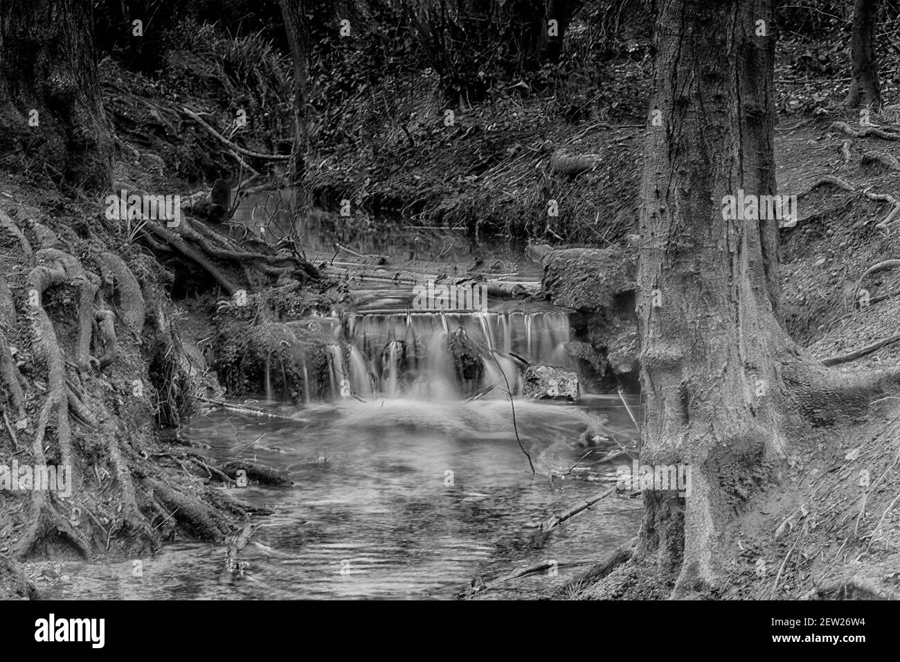 Tranquillo ruscello boscoso e cascata paesaggio naturale nel tardo inverno Foto Stock