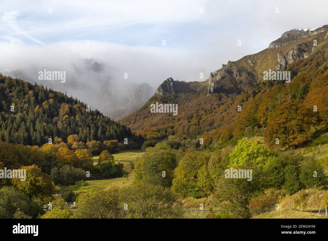 Francia, Puy-de-Dome, Parco Naturale Regionale dei Vulcani d'Alvernia, massiccio del Sancy, riserva naturale nazionale della valle di Chaudefour Foto Stock