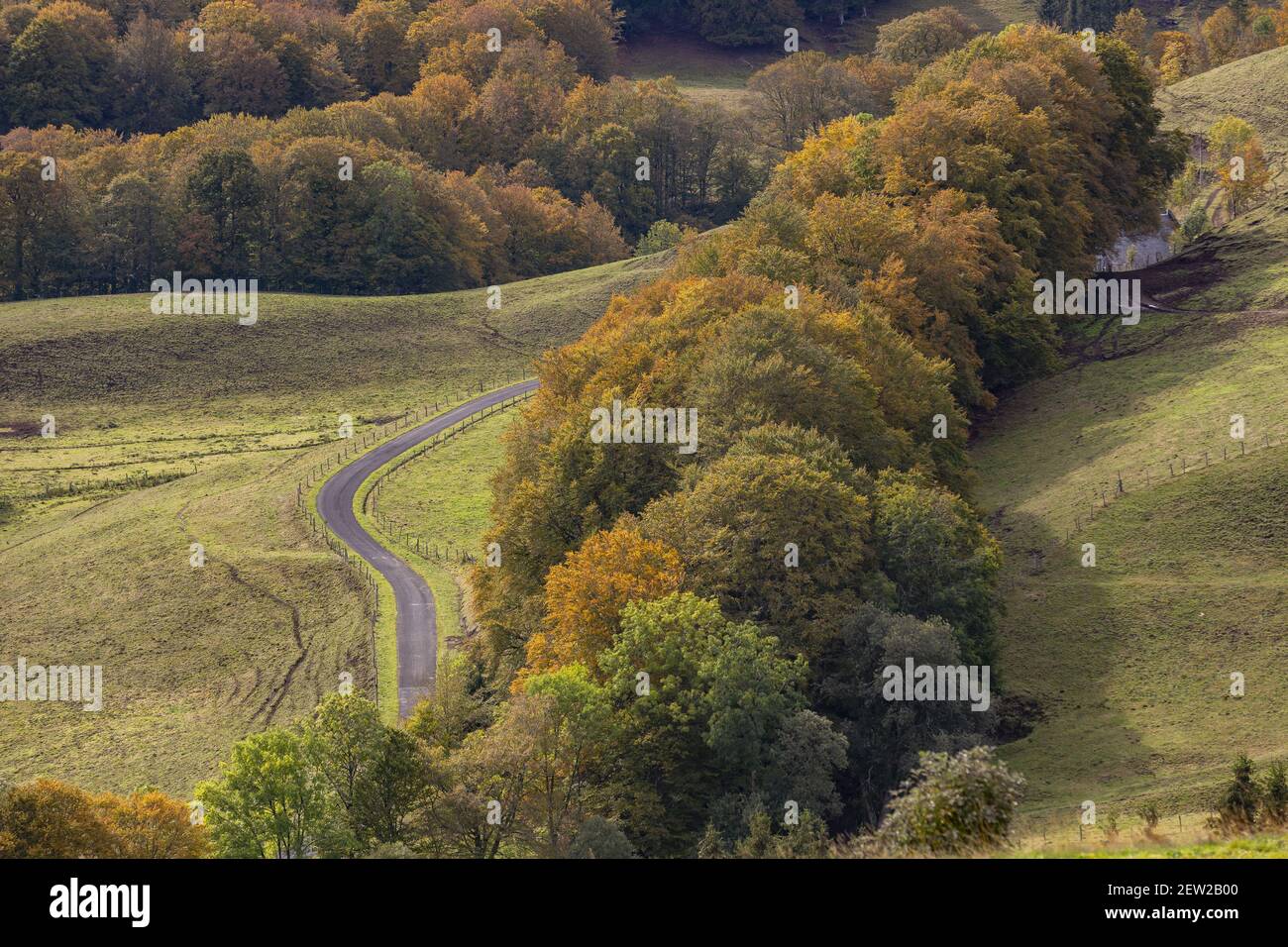 Francia, Puy-de-Dome, Parco Naturale Regionale dei Vulcani d'Alvernia, massiccio del Sancy, riserva naturale nazionale della valle di Chaudefour Foto Stock