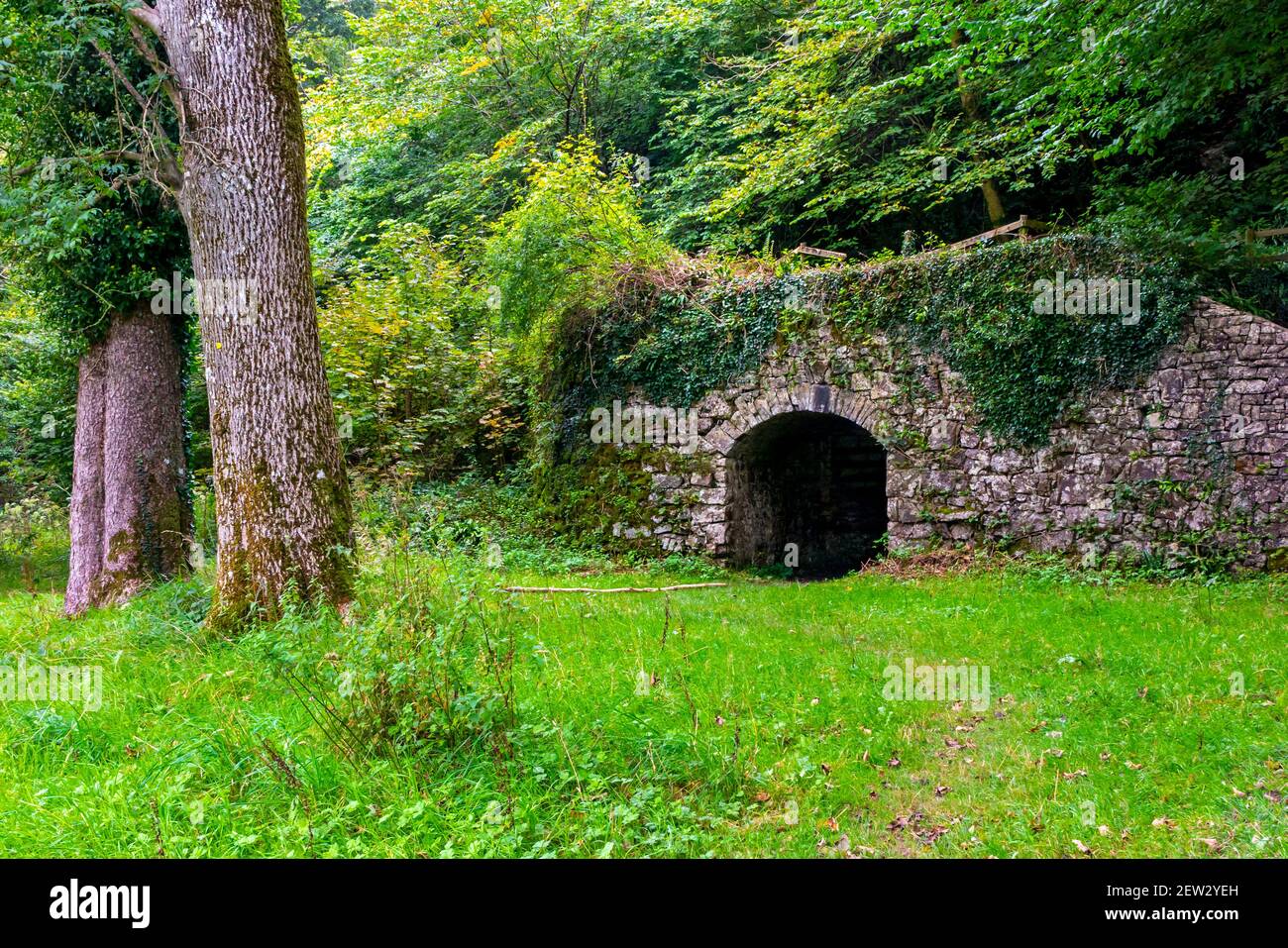Forno di lime a Parc le Breos del Parco le Bruce Un parco medievale di cervi a sud del Gower Penisola vicino Swansea Galles Regno Unito Foto Stock