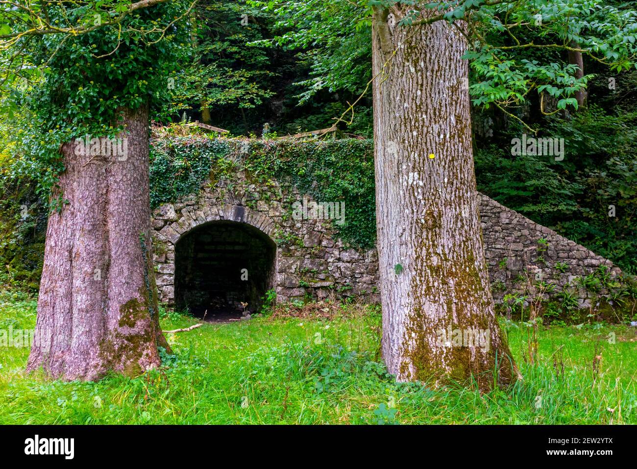 Forno di lime a Parc le Breos del Parco le Bruce Un parco medievale di cervi a sud del Gower Penisola vicino Swansea Galles Regno Unito Foto Stock