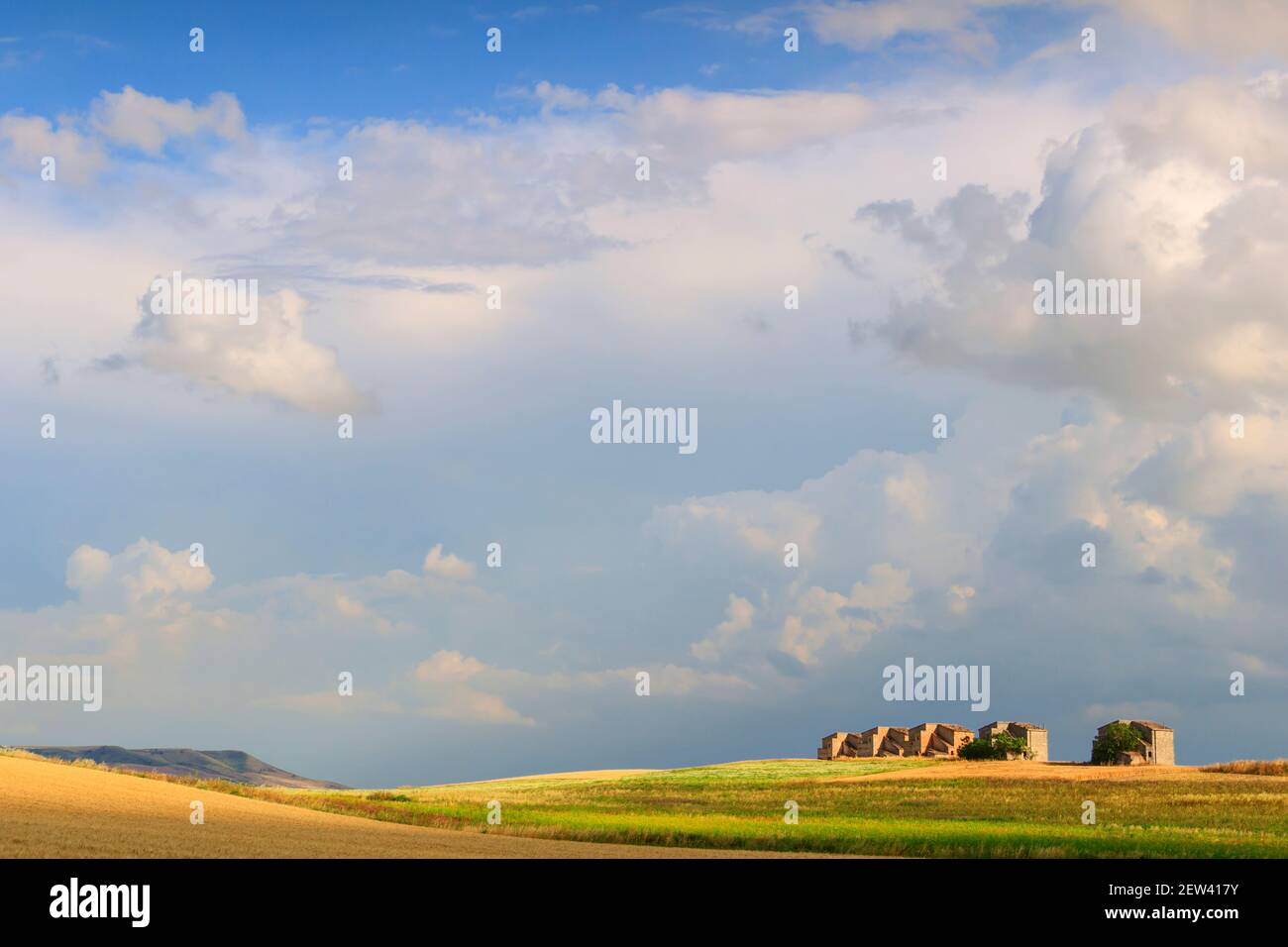 Tra Puglia e Basilicata: Casali abbandonati in campi di grano. Estate: Paesaggio rurale collinare: Case coloniche sormontate da nuvole. Foto Stock