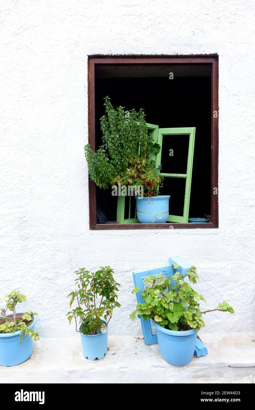 Finestra aperta di una casa dipinta di bianco con piantatrici blu Nel centro storico di Kefalos, sull'isola greca di Kos Foto Stock