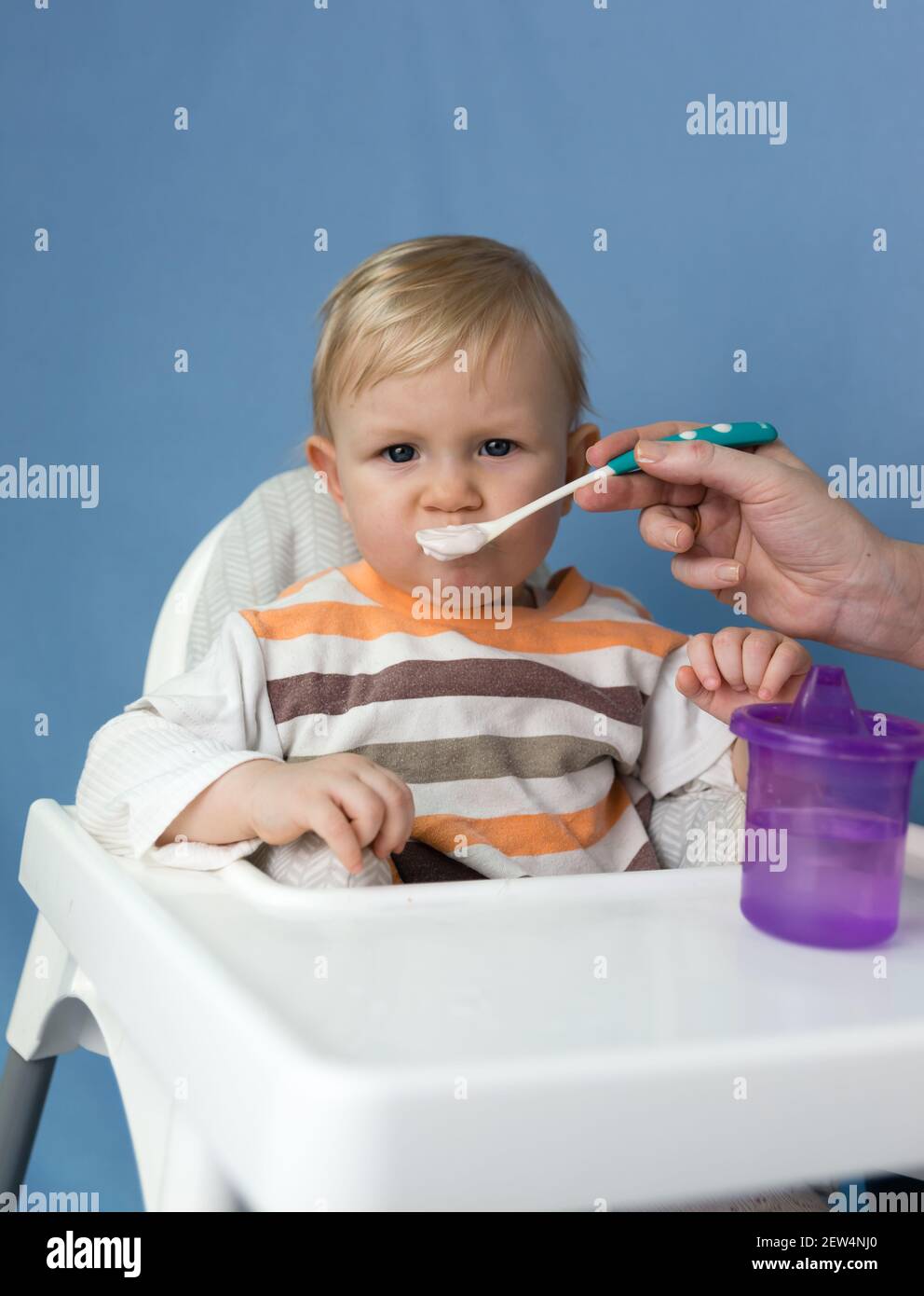 Un piccolo bambino di un anno con i capelli bianchi viene alimentato con un cucchiaio allo yogurt. Un bambino si siede su una sedia bianca per bambini Foto Stock