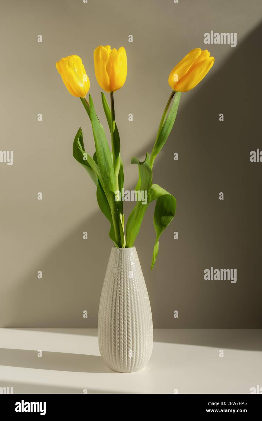 Tulipani gialli in vaso grigio su sfondo grigio. Colori di tendenza di 2021 colori di grigio estremo, illuminanti. Biglietto d'auguri verticale, Festa della mamma, in Foto Stock