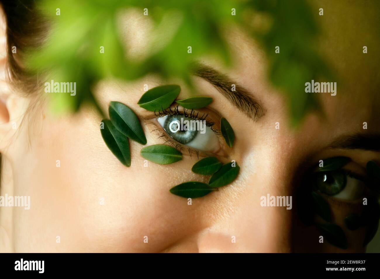 Closeup di giovane donna`s viso con macchie di foglia di bosso. Banner modello spa e benessere per il design. Pubblicità di prodotti cosmetici Foto Stock