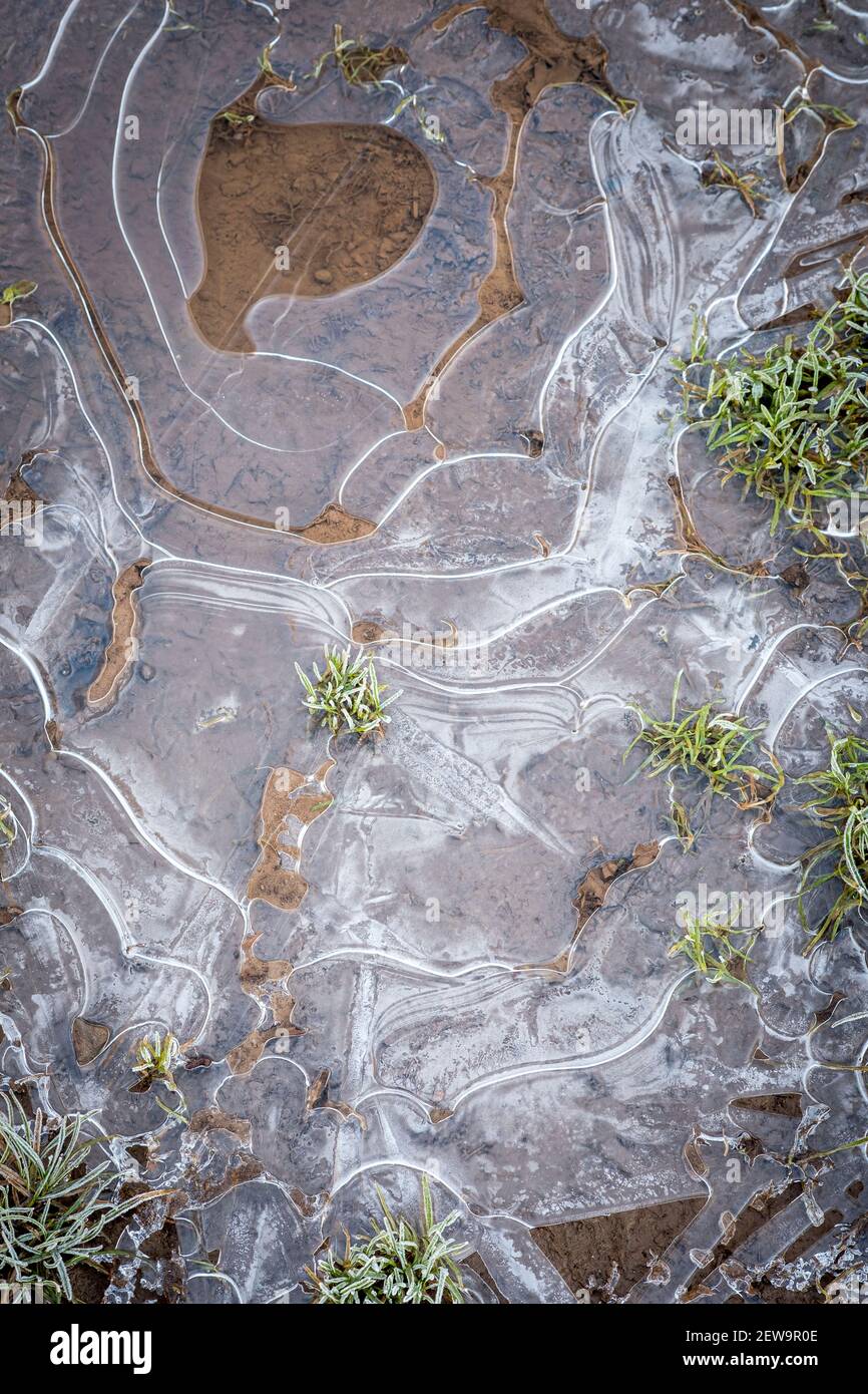 Puddle congelato sul percorso Foto Stock