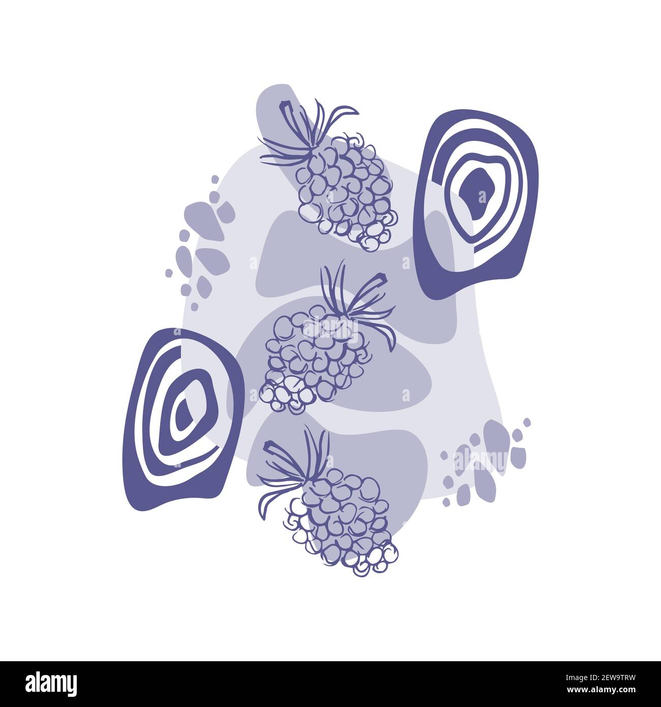 Forme astratte con frutti di contorno colorati su sfondo bianco. Lampone su forme violacee. Illustrazione Vettoriale