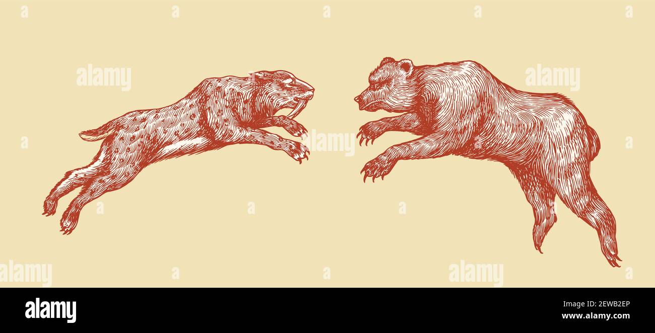 Caverna orso e Sabre dentato tigre o gatto o Smilodon. Bruno animale. Lotta animale o attacco in natura. Illustrazione vettoriale vintage retro Illustrazione Vettoriale