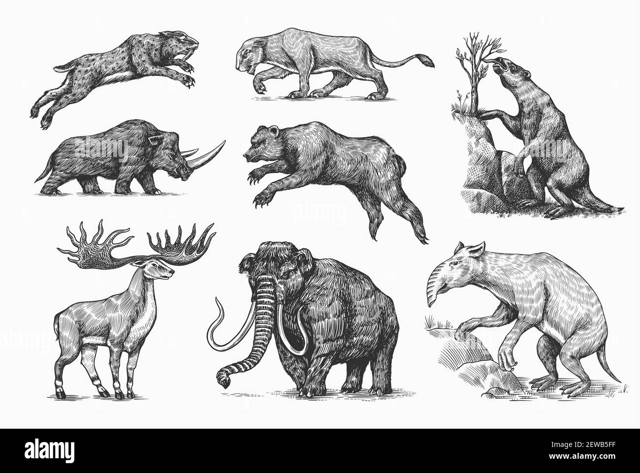 Mammoth o elefante estinto, Woolly rhinoceros Cave leone orso. Panthera Sabre tigre dentate, alci o cervi irlandesi, spioventi macinati, Megatheriidae. Vintage Illustrazione Vettoriale