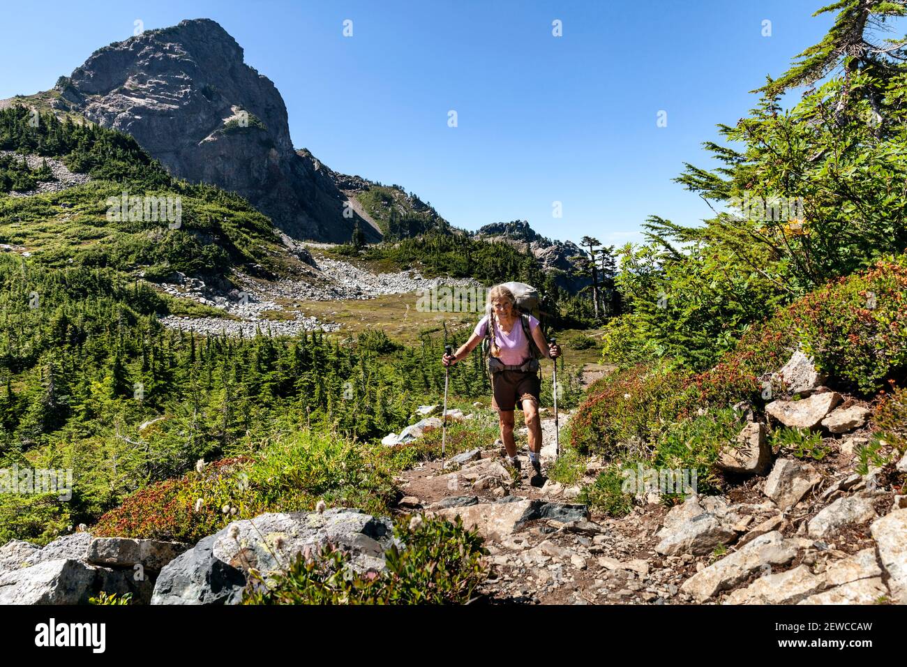 WA17641-00..... WASHINGTON - Woman backpacking sul Pacific Crest Trail a nord di Snoqualmie Pass lungo Chickmin Ridge. N. MR S1 Foto Stock