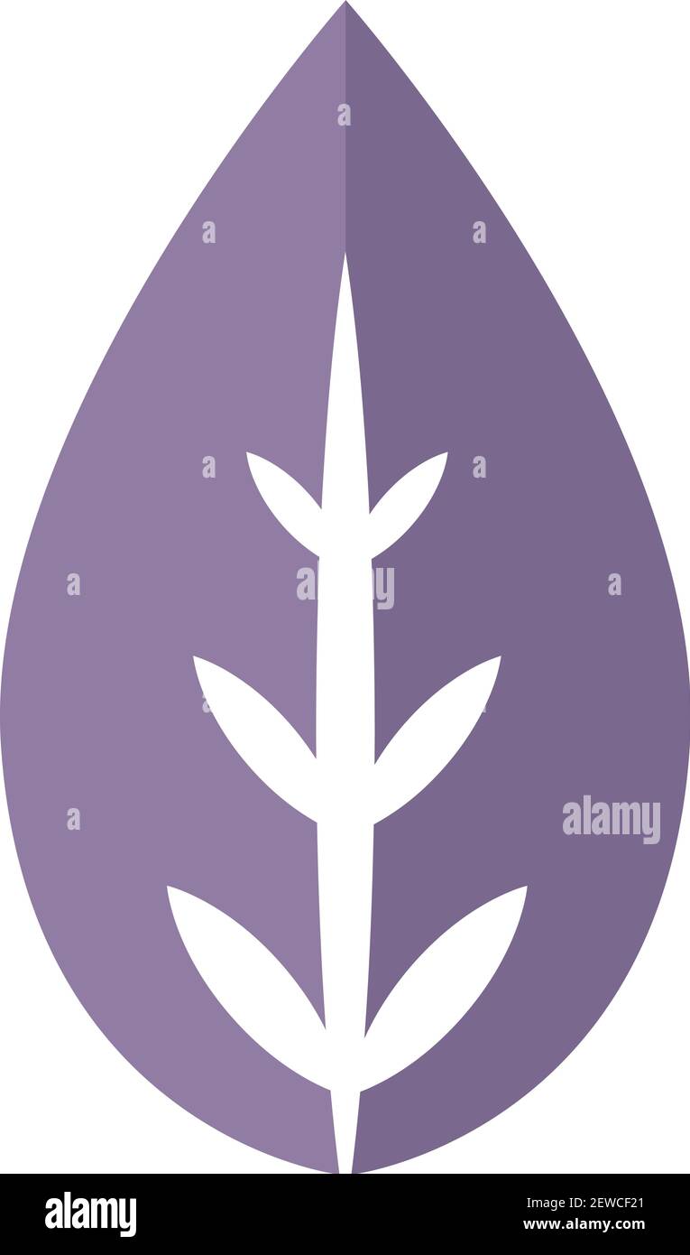 Foglia di SPA, illustrazione, vettore su sfondo bianco. Illustrazione Vettoriale