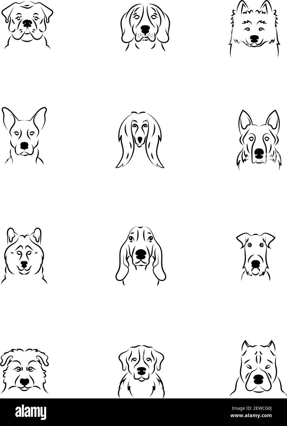 Razze di cani, illustrazione, vettore su sfondo bianco. Illustrazione Vettoriale