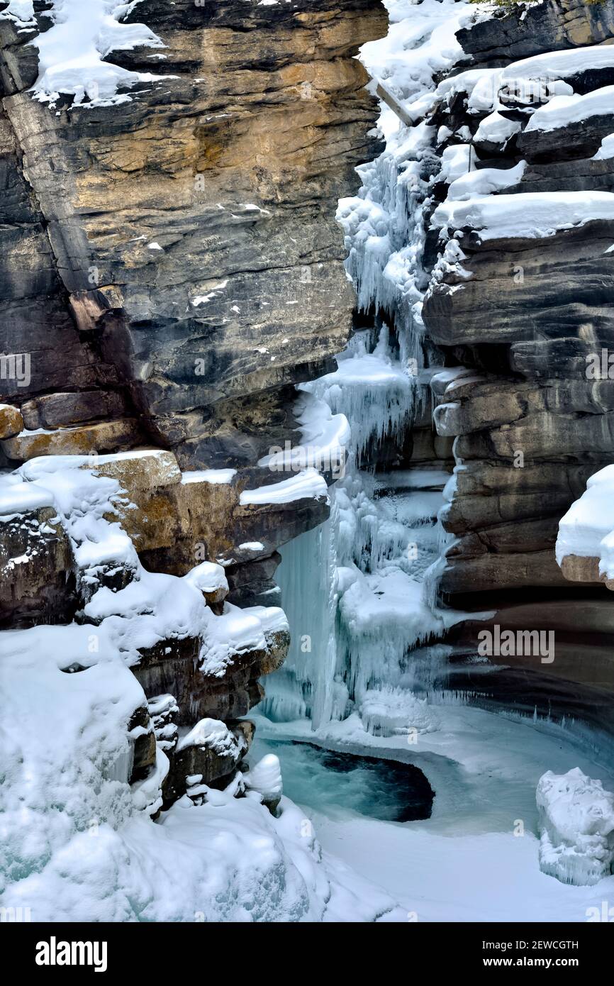 Un'immagine verticale dell'Athabasca cade in inverno con ghiaccio congelato aggrappato alle pareti rocciose del canyon nel Jasper National Park in Alberta Canada. Foto Stock