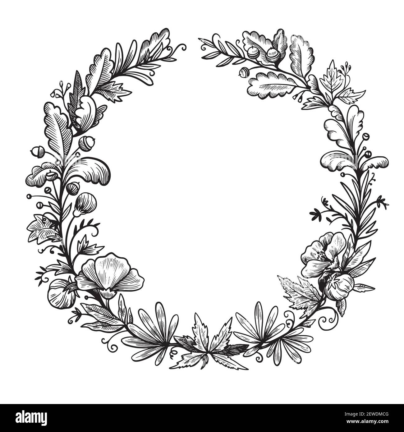 Cornice rotonda in inchiostro disegnata a mano con elementi di foresta di piante, funghi, bacche e felci. Illustrazione Vettoriale