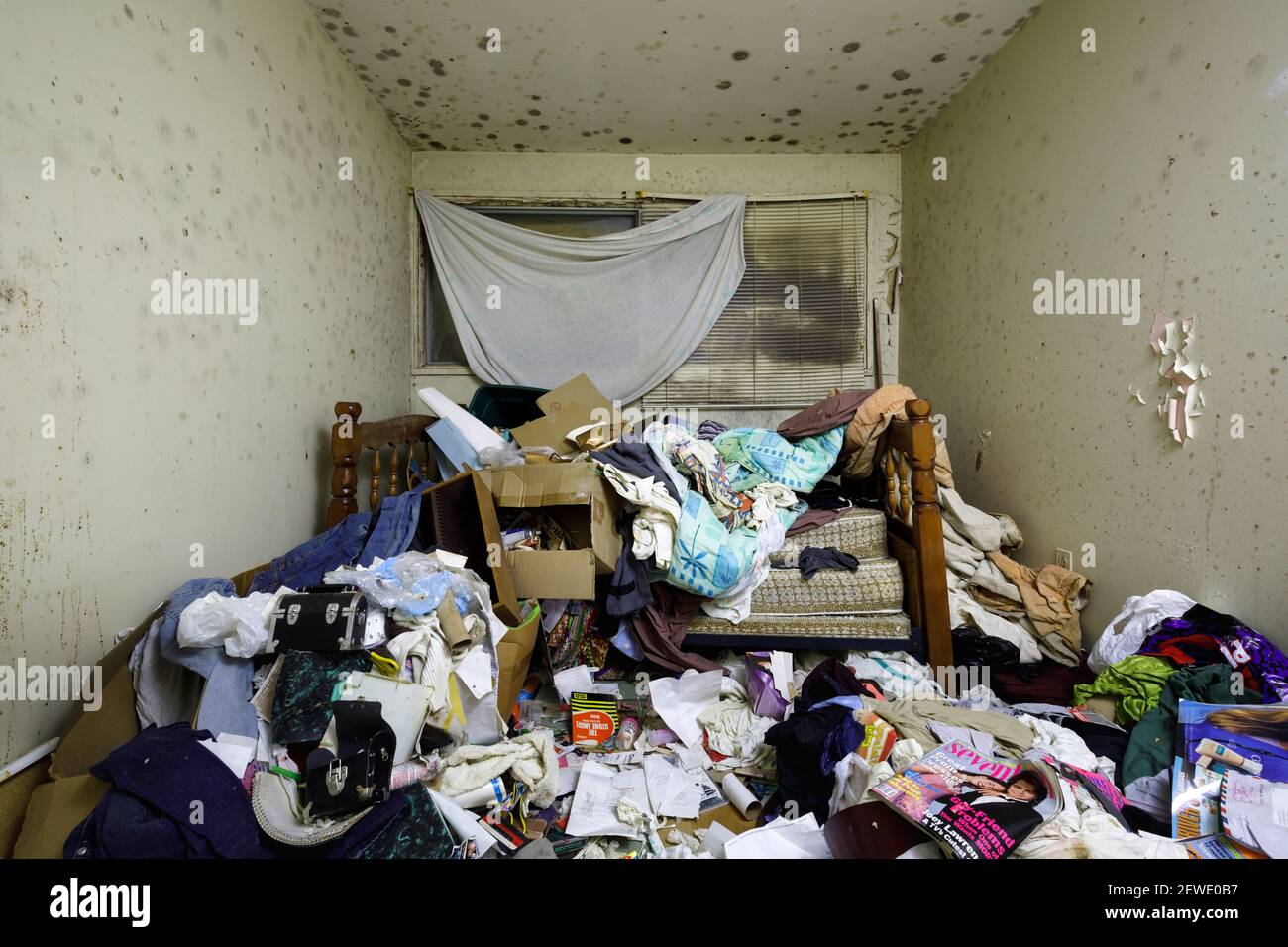 Una situazione di confine all'interno di una camera da bagno di una casa abbandonata con pareti coperte di muffa. Ontario, Canada. Foto Stock