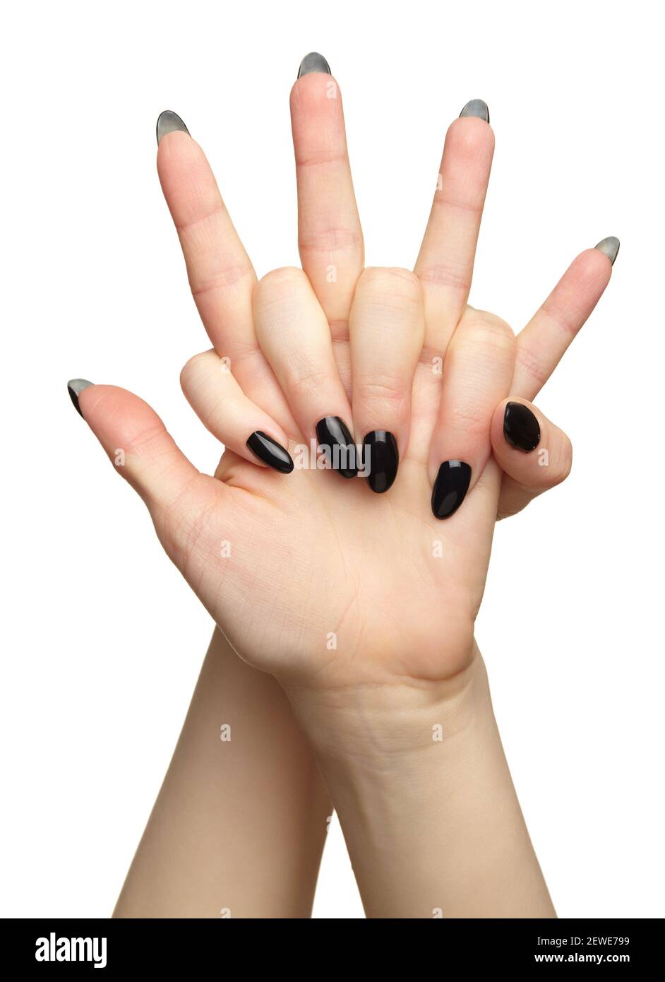 Mani femminili con manicure unghie nere. Isolato su sfondo bianco. Foto Stock
