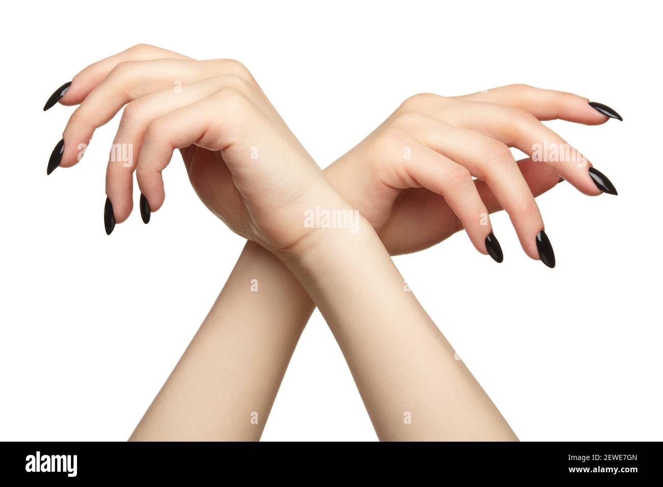 Mani femminili con manicure unghie nere. Isolato su sfondo bianco. Foto Stock