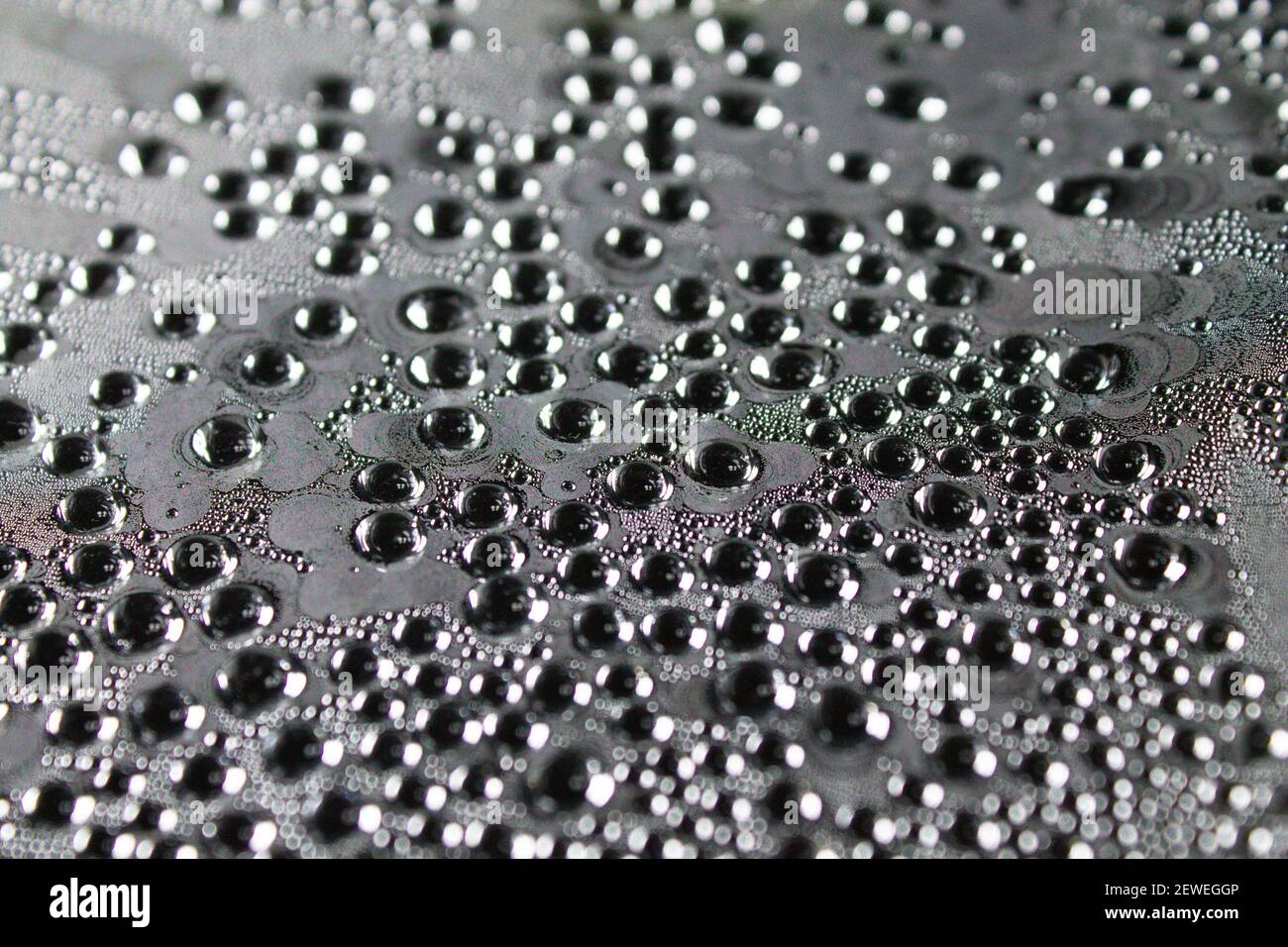 Gocce d'acqua sulla pellicola. Evaporazione dell'umidità su una superficie trasparente. Gocce appendono sulla pellicola. Evaporazione in una serra. Foto Stock